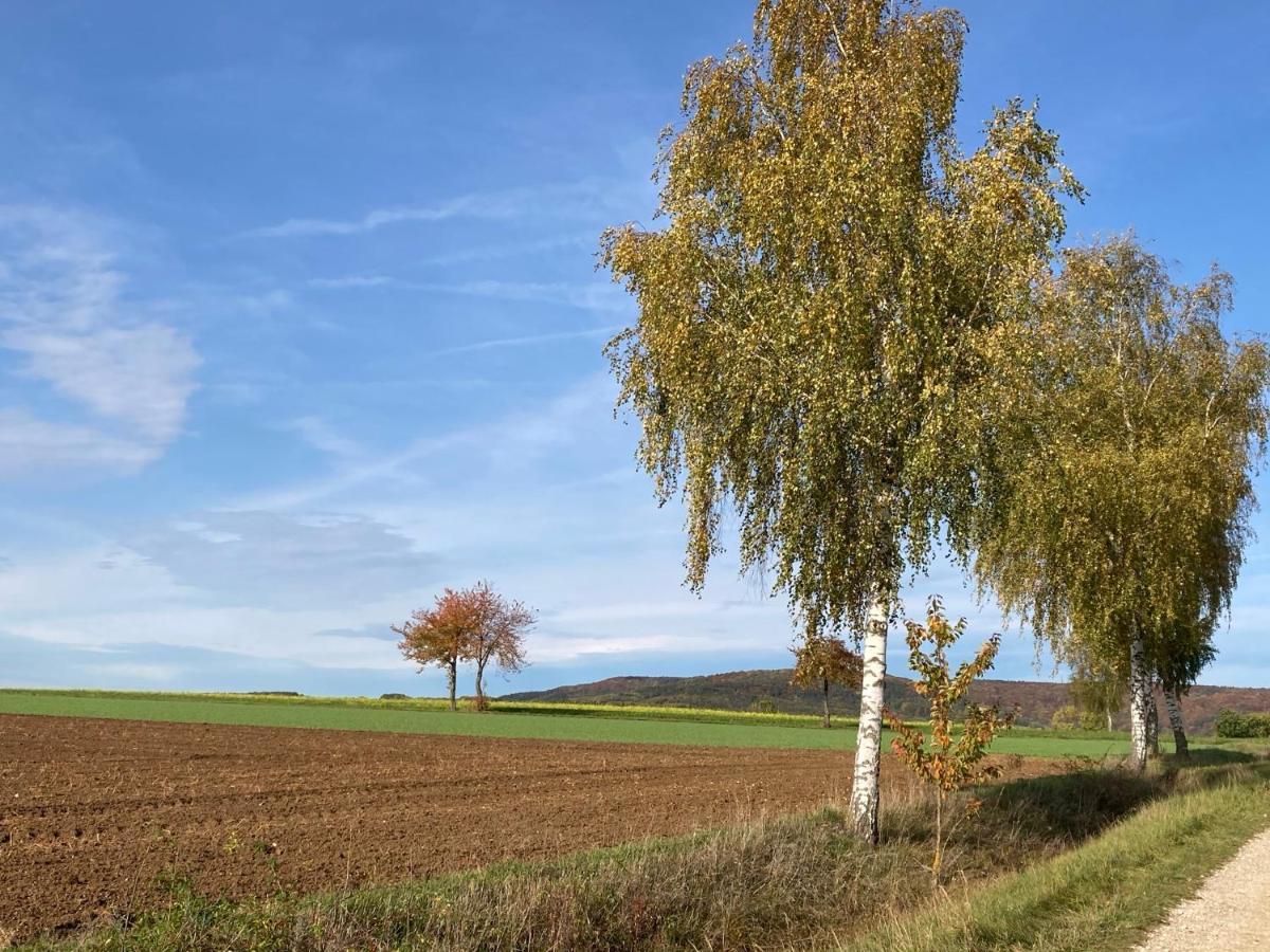 Ferienwohnung Franken Hallerndorf Kültér fotó